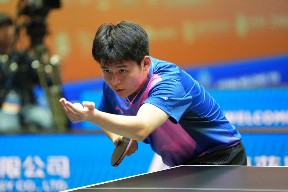 年轻的新星 年轻的新星