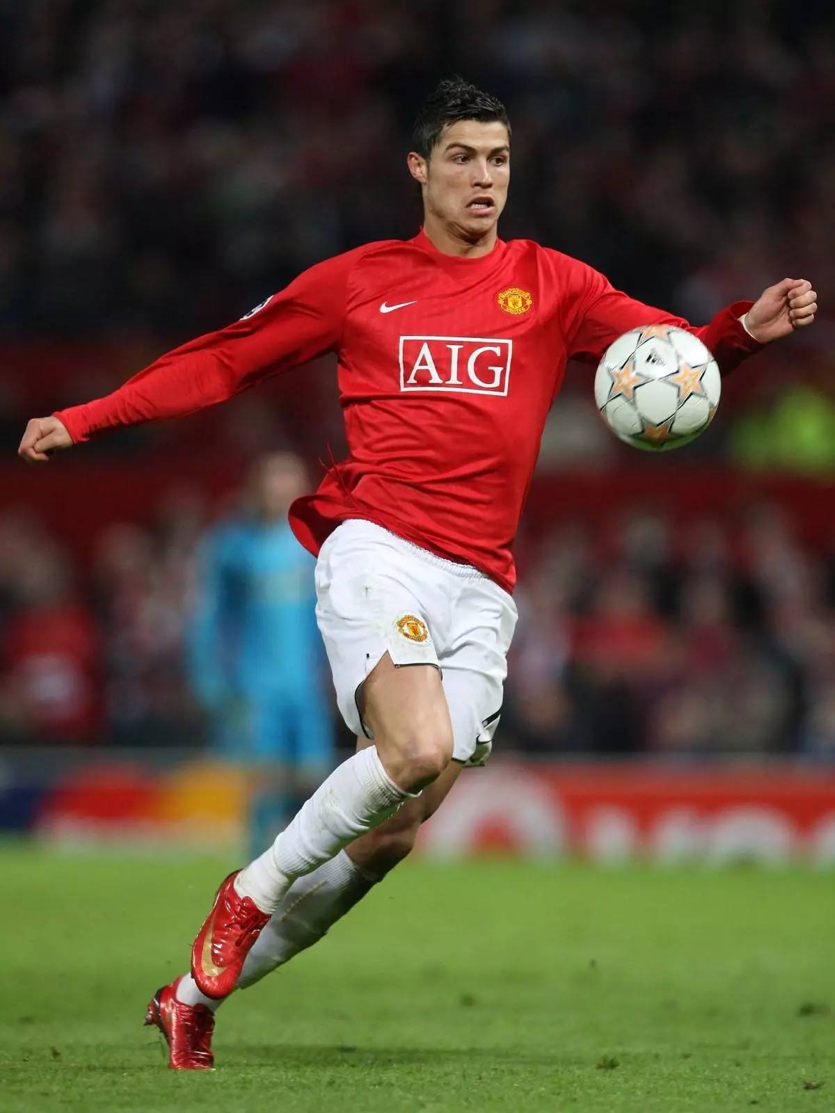 不是预测 不是预测