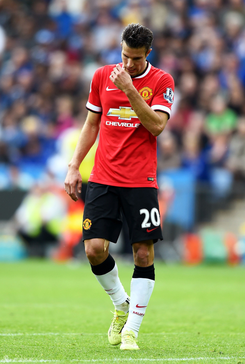 我们能判断 我们能判断